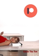 Catch the Fox - Version 0.2